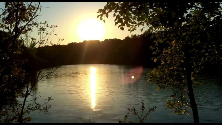 Méditation pour Améliorer le Calme : Un Instant de Sérénité en 5 Minutes